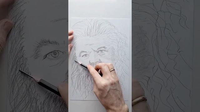 Как нарисовать Рубеуса Хагрида портрет карандашом / How to draw Rubeus Hagrid portrait in pencil смотреть онлайн