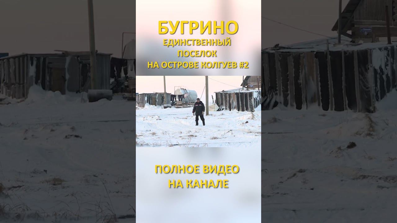 БУГРИНО КОЛГУЕВ 2 SHORTS #SHORTS смотреть онлайн