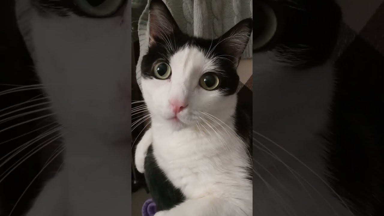 ЭТИ ГЛАЗА НАПРОТИВ