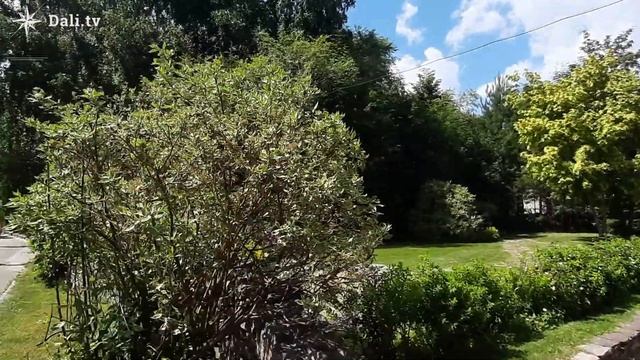 Улица 1905 года. Новосибирск. смотреть онлайн