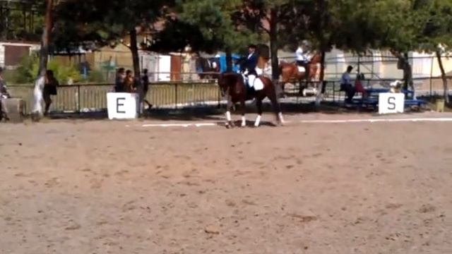 Соревнования по выездке Кишинев - тренер Алина смотреть онлайн