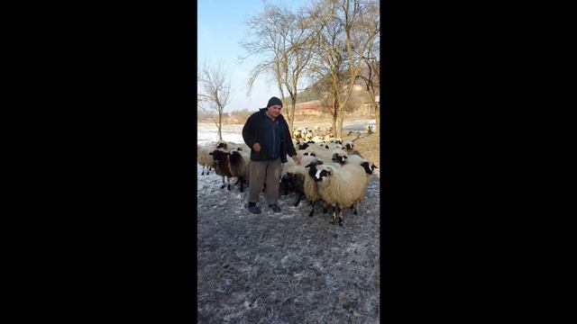 Oi breze ...0762457340 Ioan Flore смотреть онлайн