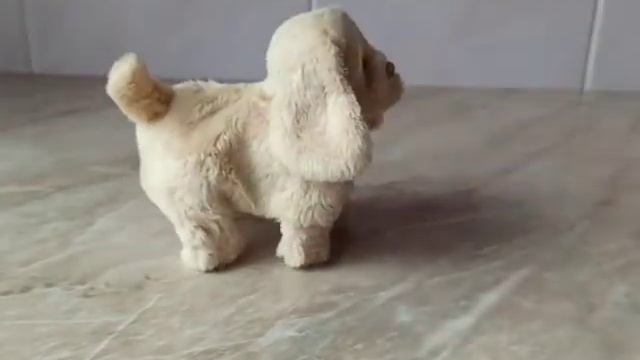 ⚪М'яка інтерактивна іграшка "Ходячі ласкаві звірята". Furreal Friends. Hasbro. смотреть онлайн