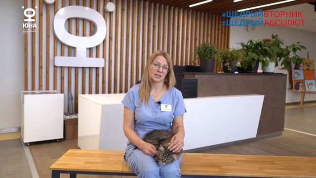 О кошках и собаках. «Юна» и «Абсолют-Помощь». Вакцинация животных. смотреть онлайн