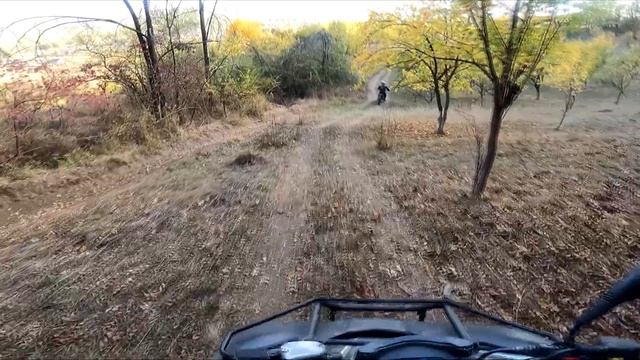 PANTA PE CARE M-AM RASTURNAT !!! смотреть онлайн