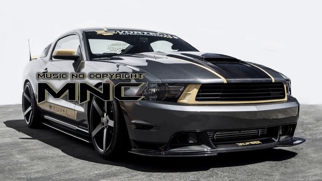 CAT IN DA GLASSES - VHS PLAYA.mp4