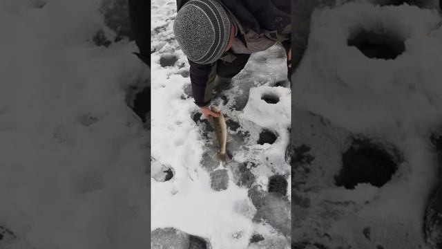 "Добрые"эмоции друзей, когда у тебя рыба крупнее! смотреть онлайн