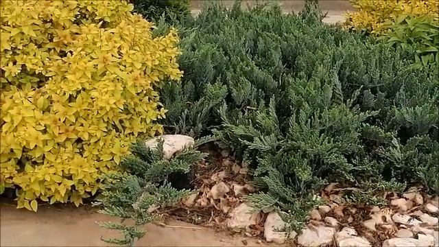 Звуки весеннего сада. смотреть онлайн