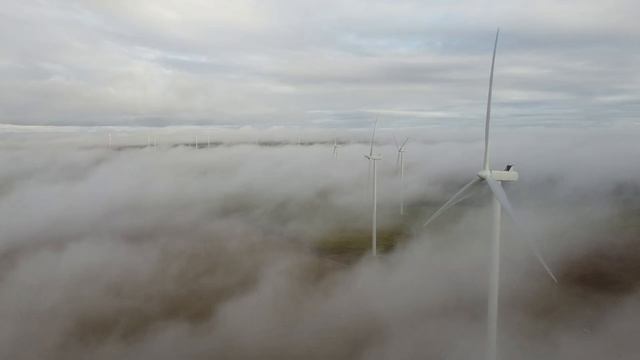 МУЗЫКА ДЛЯ СНА/РАССЛАБЛЕНИЯ/МЕДИТАЦИИ|MUSIC FOR SLEEP/RELAX/MEDITATE смотреть онлайн