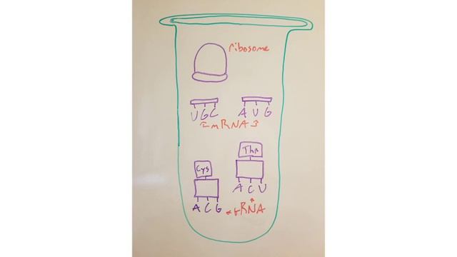 Exam 3 Vid 2 смотреть онлайн