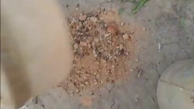 песок через сито просеять (для глухих) смотреть онлайн