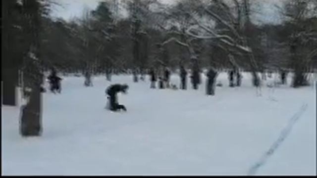 фр. бульдог Арни смотреть онлайн