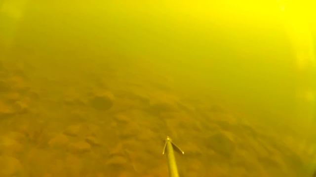 Река Аят. Налим - 4 кг. Подводная охота - 18 09 16 смотреть онлайн