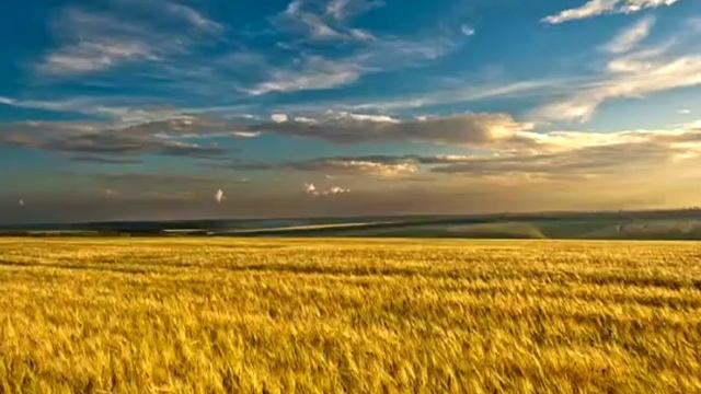 КОНКУРС "РУССКАЯ КОСА" BY NATURA SIBERICA смотреть онлайн