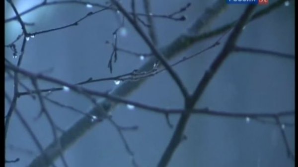 238. Максим Грек. Несение Креста