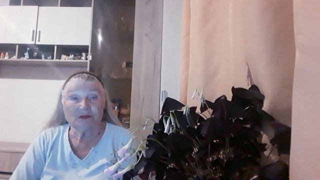 " МОЯ ДЕВУШКА ВЕДЬМА"  Мистическая история