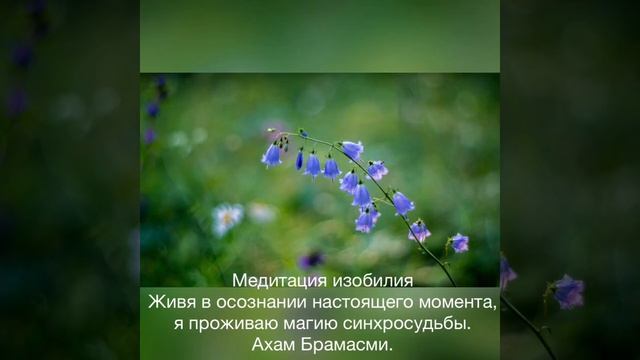 15 день «Жить под знаком синхросудьбы» Медитации на изобилие смотреть онлайн