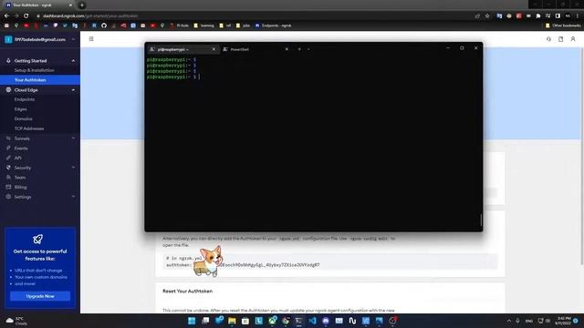 Raspberry Pi - SSH, VNC Access from every whare using ngrok and crontab смотреть онлайн