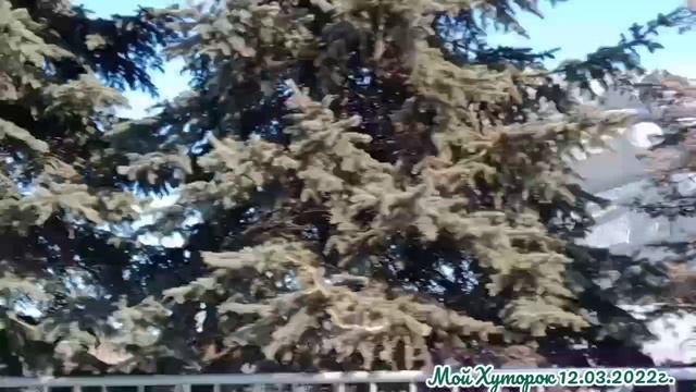 Мой Хуторок