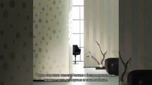 Как отучить кота драть обои и мебель: причины и решение проблемы