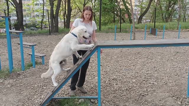Нортону 6 месяцев смотреть онлайн