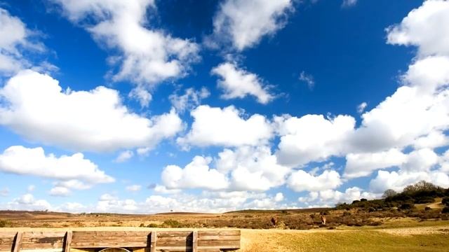 Реки и озера 4Река Дон!◄Путешествия!► смотреть онлайн