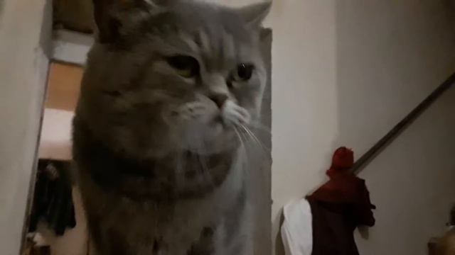 И снова РЕМОНТ!!! ?♀️❗#житьвКазани #Казань #осеньКазань