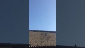 САМАРКАНДСКИЕ БОЙНЫЕ ГОЛУБИ ЧАСТЬ 6