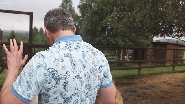 Путешествуем по Подмосковью. Едем в гости к животным. смотреть онлайн