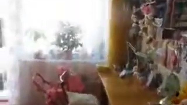 Квартиры в Черкассах,купить квартиру Черкассах квартиру,продажа квартир в Черкассах.