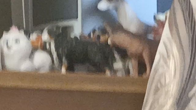 какие у меня новинки? почему подделок больше? и сного другого) смотреть онлайн