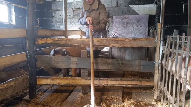 Самоделки для дома/ Стеллаж для рассады/ Полка для сушки/ На лыжах/ смотреть онлайн