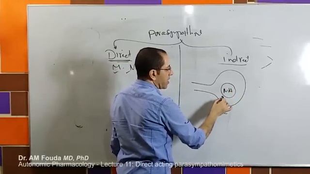 Autonomic Pharmacology (Ar) - Lec 11 - Direct parasympathomimetics смотреть онлайн