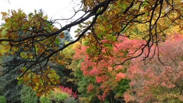 Отец Небесный, Авва Отче, Стихи Галины Огородовой смотреть онлайн