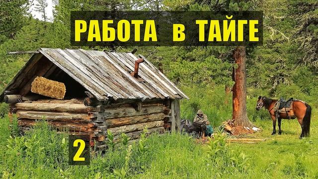 СКИТАЛЕЦ ЗАВОДЬ ТРОПА БЕГЛЕЦ в ЛЕСУ ОХОТА ЗИМОВЬЕ ИСТОРИИ из ЖИЗНИ СЕРИАЛ 2 смотреть онлайн