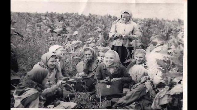 50 лет школе МБОУ СОШ 9 школа смотреть онлайн