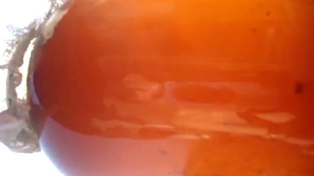 28/09/18-го +27 Жара - жареноесолнце...КВАСим) смотреть онлайн