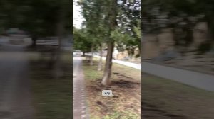 Старинные улочки Пятигорска