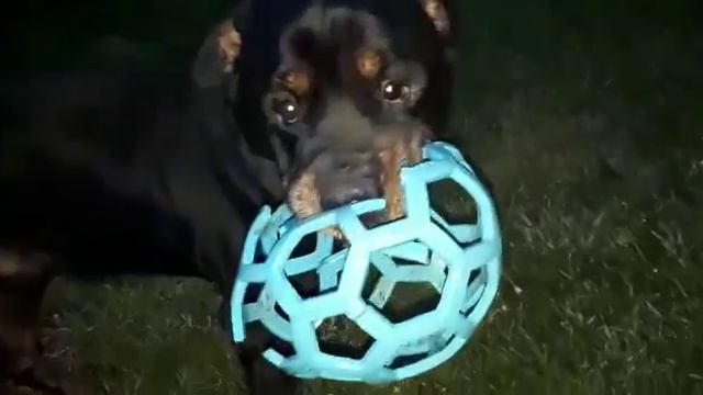 Космос и мячик смотреть онлайн