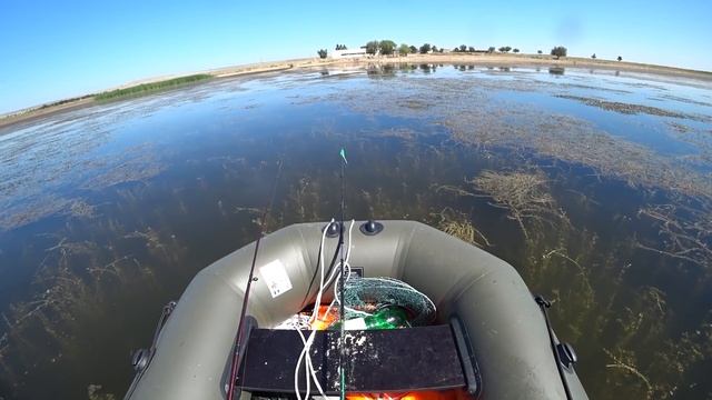 ЗМЕЕГОЛОВЫЙ МОНСТР ВОДОХРАНИЛИЩА КАПЧАГАЙ! Лодка AQUA STORM ST-240, Рыбалка на Змееголова