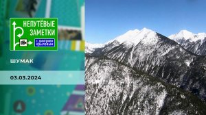 Шумак. Непутевые заметки. Выпуск от 03.03.2024
