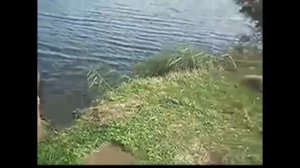 Над родною страной солнышко встает! а российский мужик пьяный уж орет Сектор Газа 1992