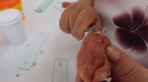 Трихинеллоскопия мяса