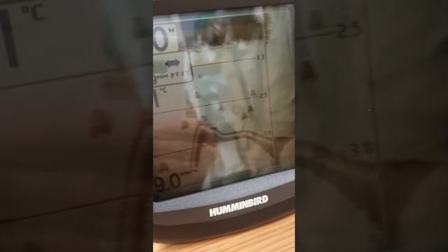 Монитор !!!!!!! для однолучевого эхолота Humminbird matrix 12 . смотреть онлайн