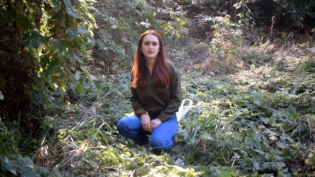 Социальный ролик о природе смотреть онлайн