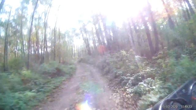 Поездка по лесным дорогам на Racer forester rc200lt смотреть онлайн