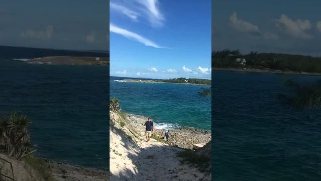 Harbor Island Bahama смотреть онлайн