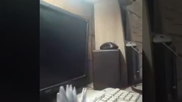 3D лебедь смотреть онлайн