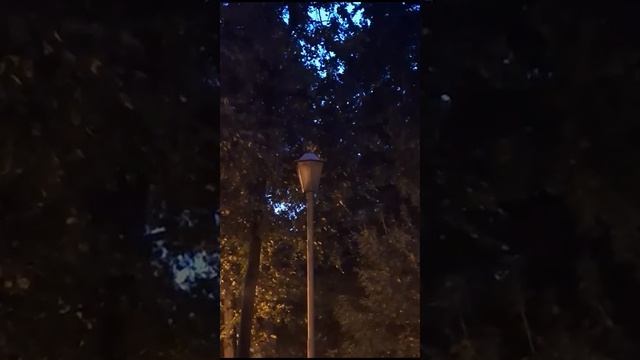 Странное мигание лампы днат смотреть онлайн