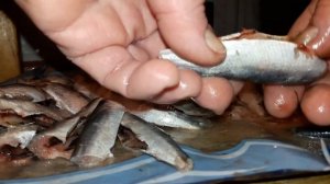 Разделка салаки на филе, просто